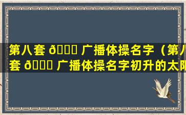 第八套 🐝 广播体操名字（第八套 🐋 广播体操名字初升的太阳）